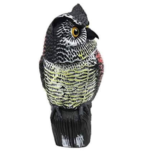 Ecshopone 本物そっくり フクロウ 置物 鳥よけ 害鳥対策 首振り インテリア ライフ 新品 中古のオークション モバオク Ecshopone 本物そっくり フクロウ 置物 鳥よけ 害鳥対策 首振り インテリア ライフ 新品 中古のオークション モバオク
